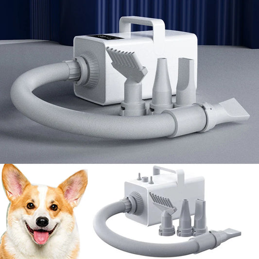 2000W Dog Dryer LED Pet Dryer Cat Dog Grooming Negative Ion Blower Hot Wind Heater Adjustable Blow-dryer Force Hair Dryer